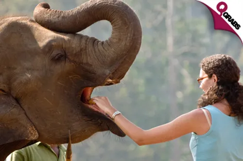 From QR3367 Per Person, Have Your Own Adventure in Sri Lanka for 6 Nights / 7 Days - INCLUDES All Transfers, Elephant Orphanage, Botanical Gardens and Much More! (Up to QR10000 Value)